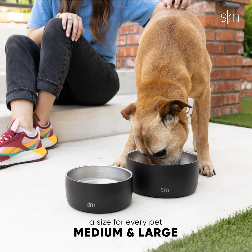 Simple Modern Bentley comparaison taille medium pour chats et petits chiens