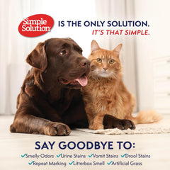 Simple Solution en action sur canapé éliminant taches visibles et odeurs