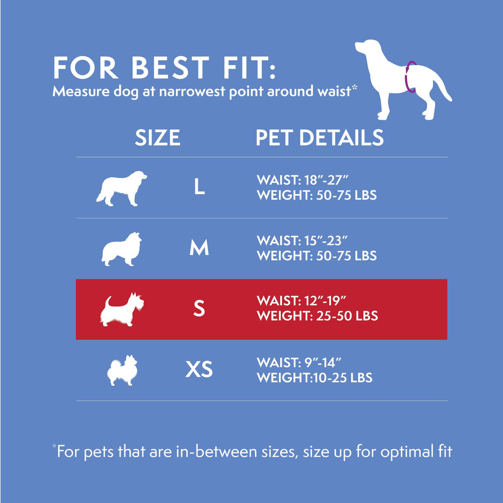 Simple Solution attache Fur-Friendly montrant fixation sûre sans accrocher les poils