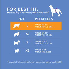 Simple Solution bande portée sur chien toy, maintien confortable et protection visible