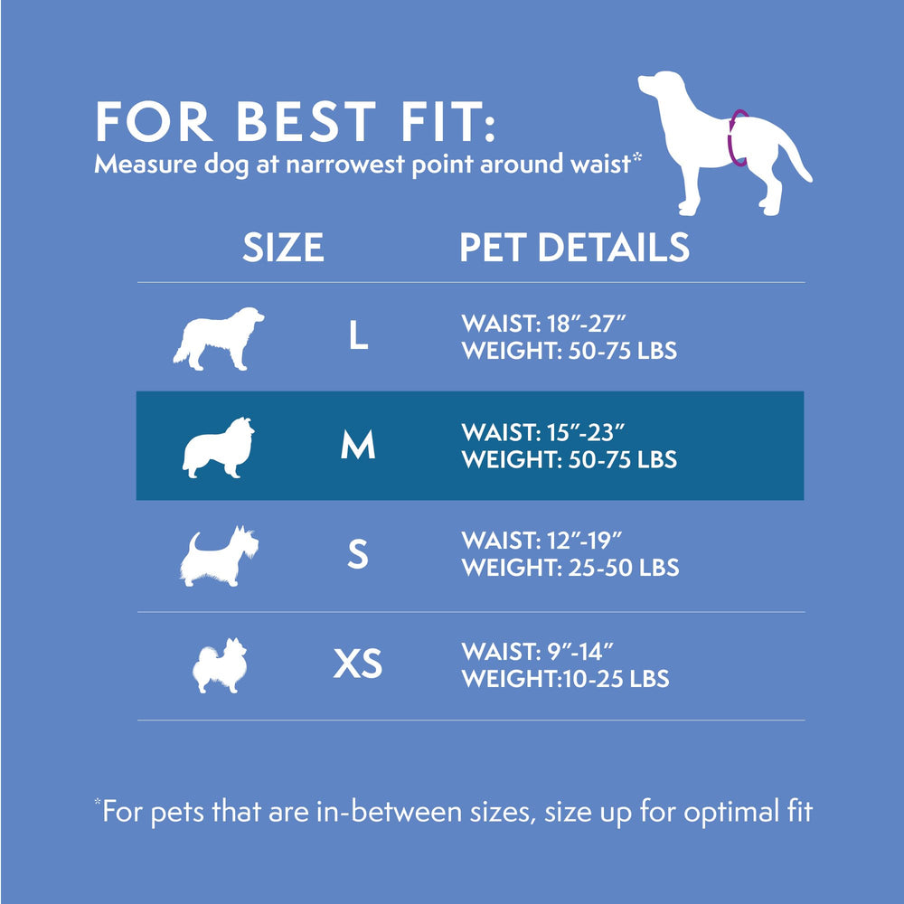 Simple Solution comparaison taille montrant ajustement pour chiens moyens