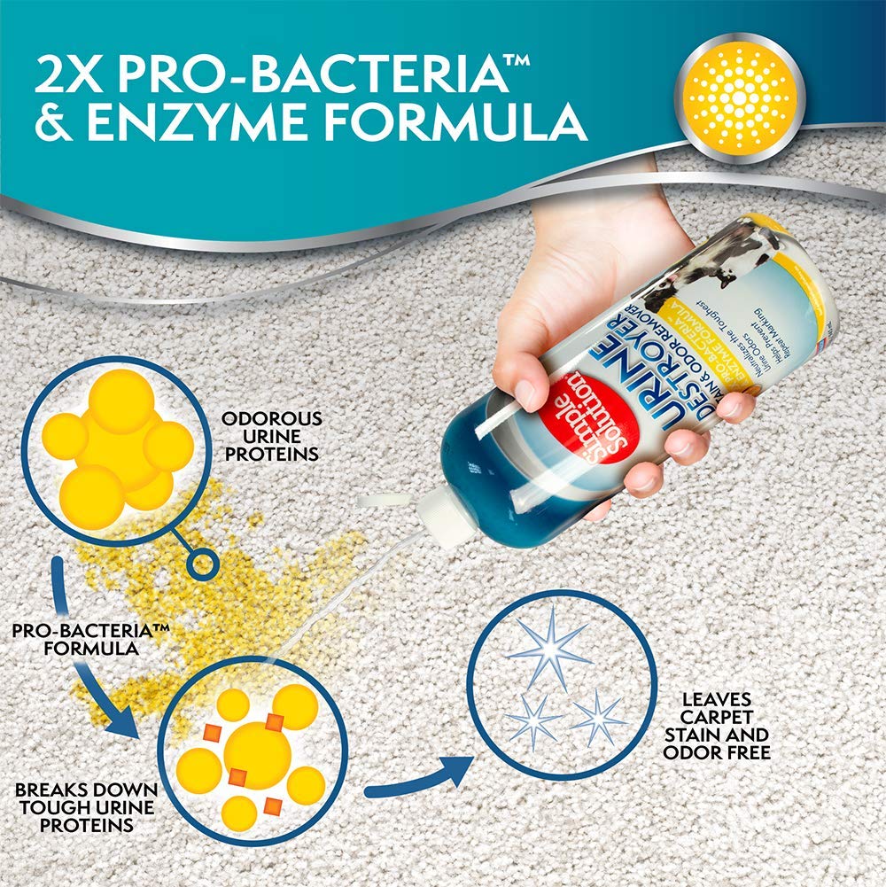 Simple Solution pulvérisateur en action nettoyant une tache visible