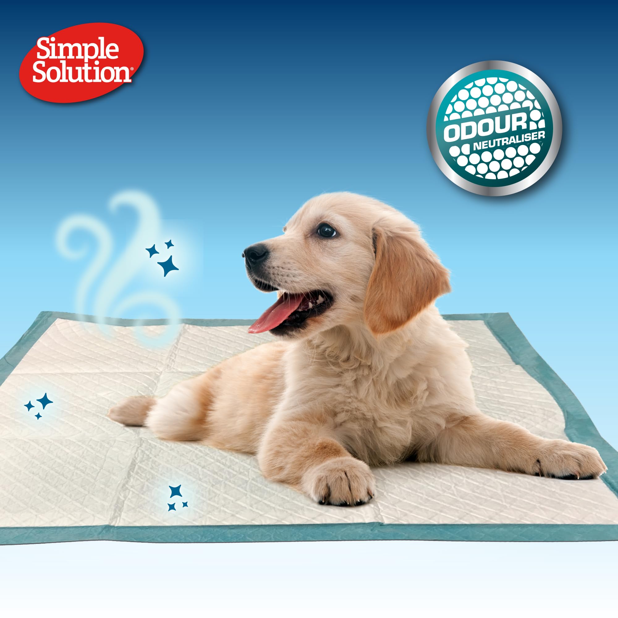 Simple Solution tapis installé dans un kennel pour hygiène et confort durant la journée