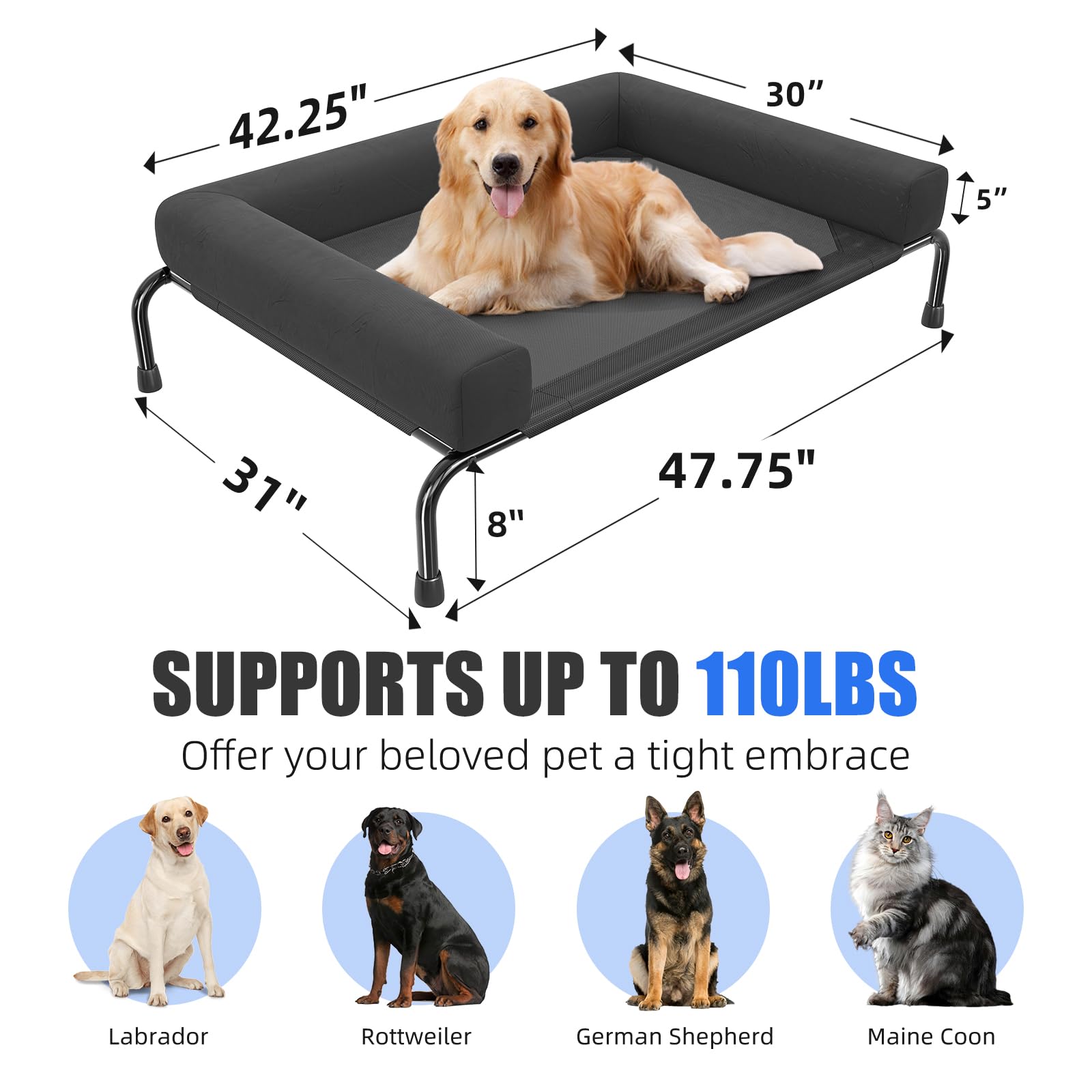 Simple Trending comparaison d'échelle montrant dimensions pour grands chiens