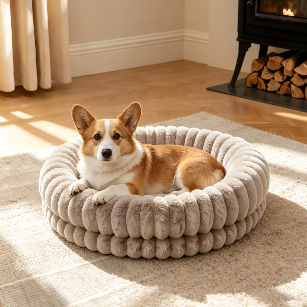 Simple Trending vue de face du lit donut montrant forme ronde et rebords confort