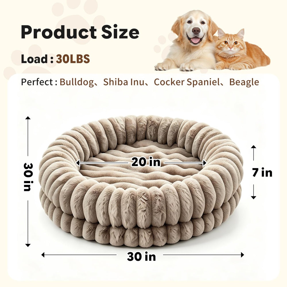 Simple Trending coupe montrant bloc de mousse, support résistant contre tassement