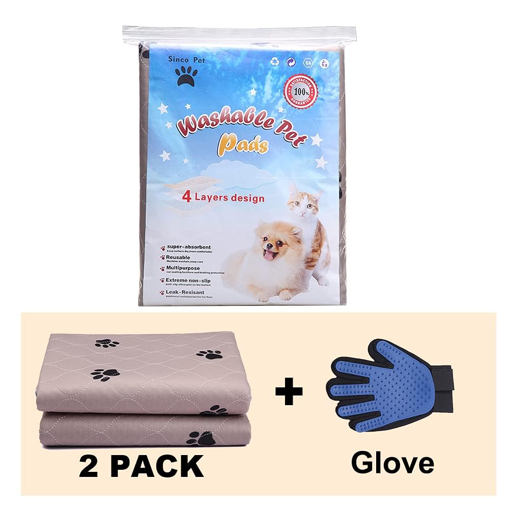 SincoPet comparaison échelle avec chiot montrant la taille extra-large utile