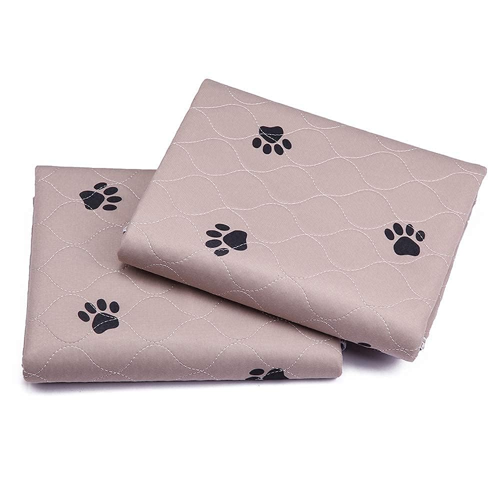 SincoPet chiot sur tapis dans parc, utilisation pour apprentissage