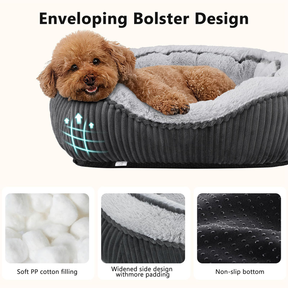 SIWA MARY chien se relaxe dans le panier confortable