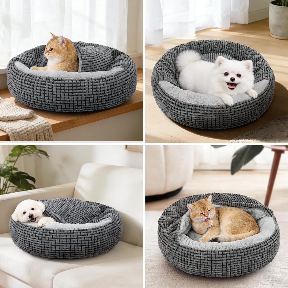 SIWA MARY lit 23" côte à côte avec chat pour évaluer taille