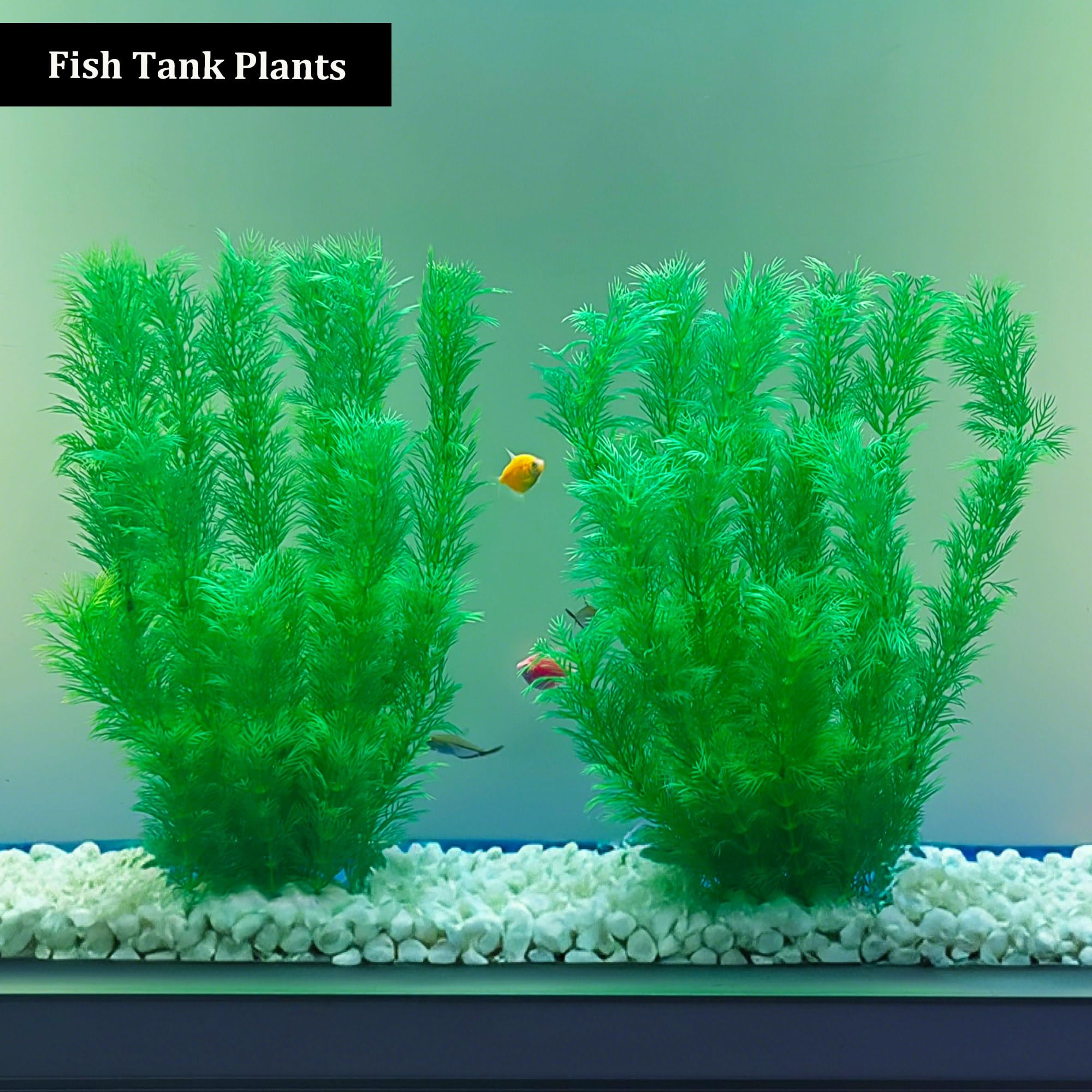 SIYIPURR plante dans aquarium crée cachette et décor réaliste