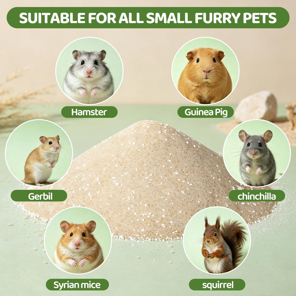 skaqwuan comparaison visuelle des formats 2 lb 5 lb 10 lb pour choix pratique
