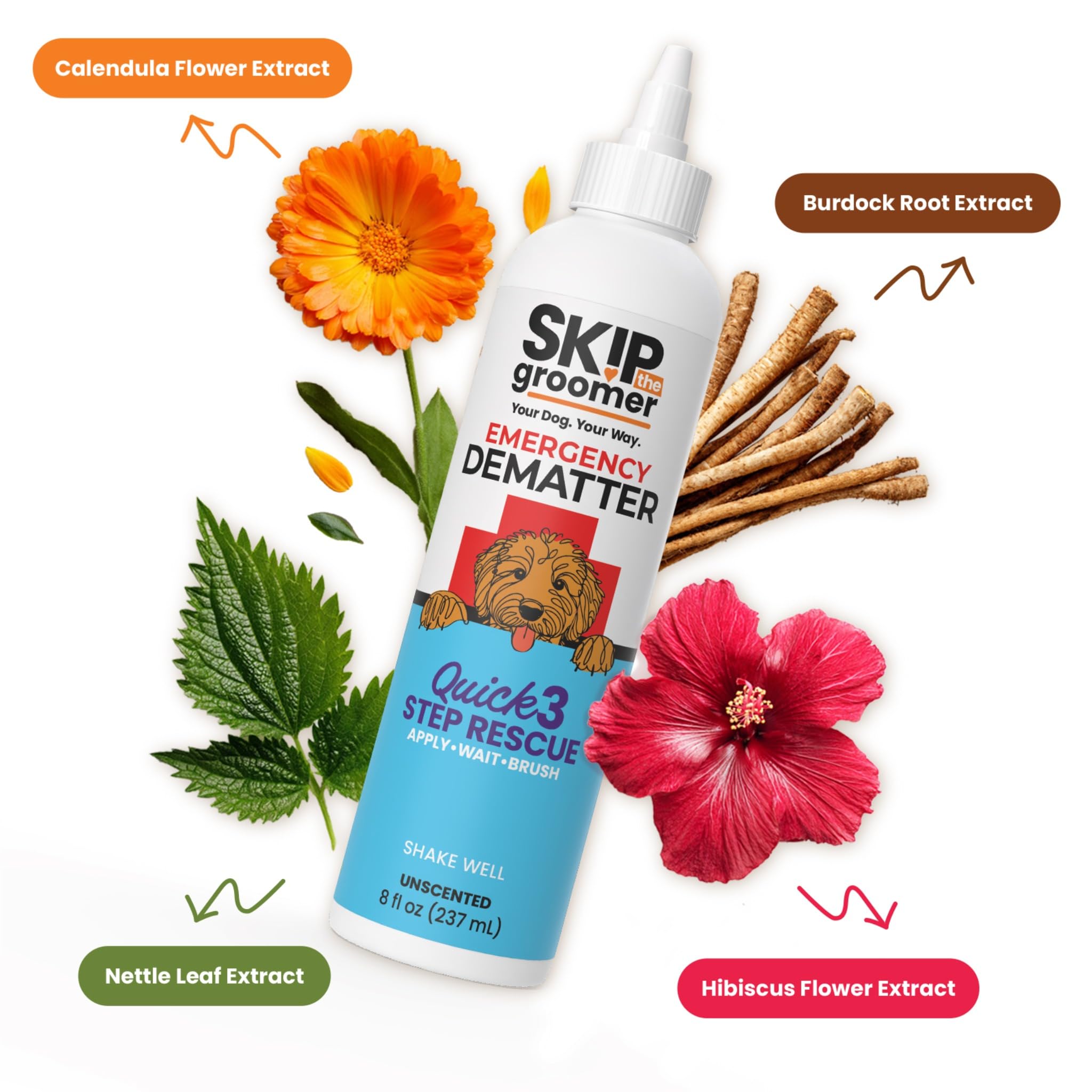 Skip the Groomer sur un doodle en salon montrant entretien entre toiletages