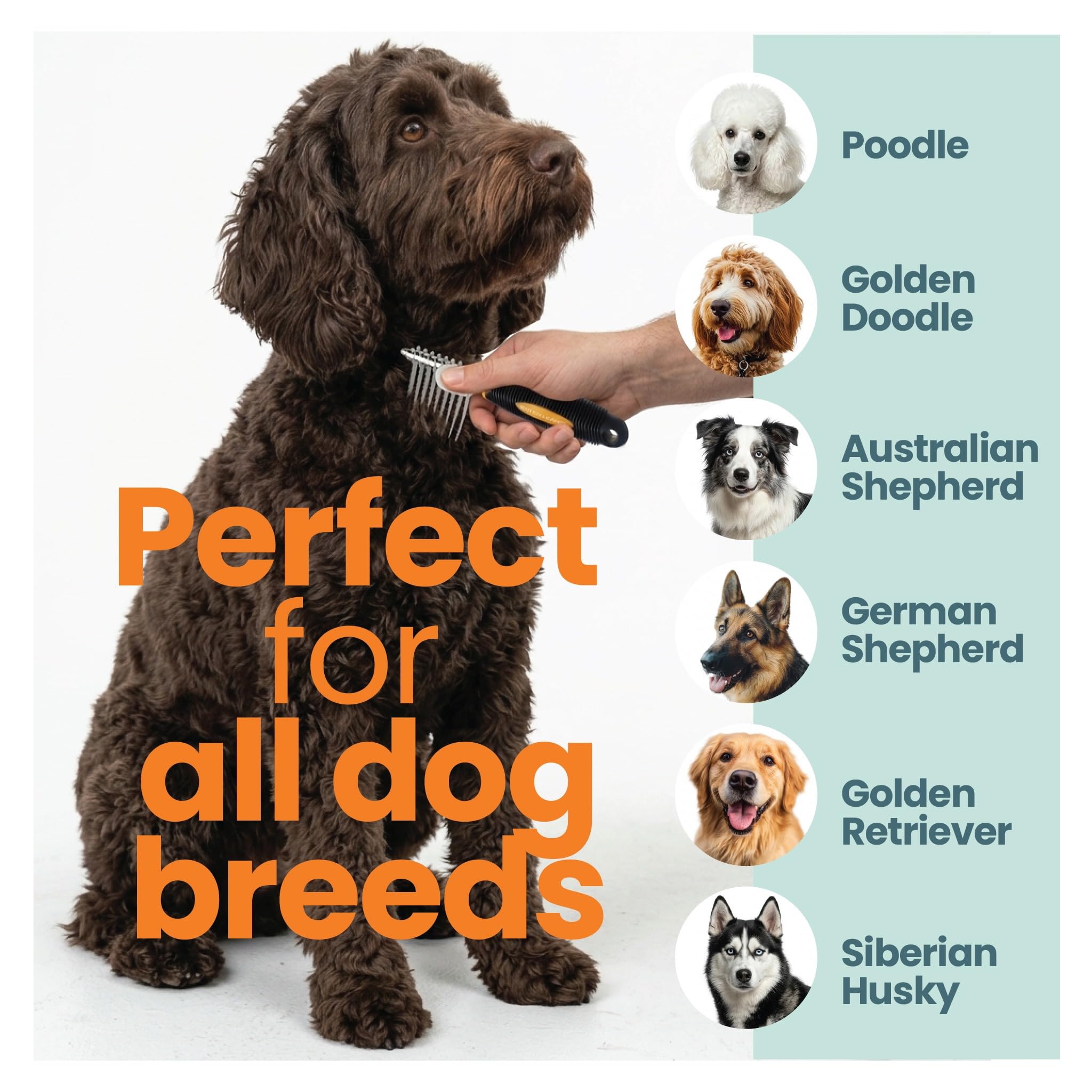 Skip the Groomer gros plan dents en acier pour démêler efficacement