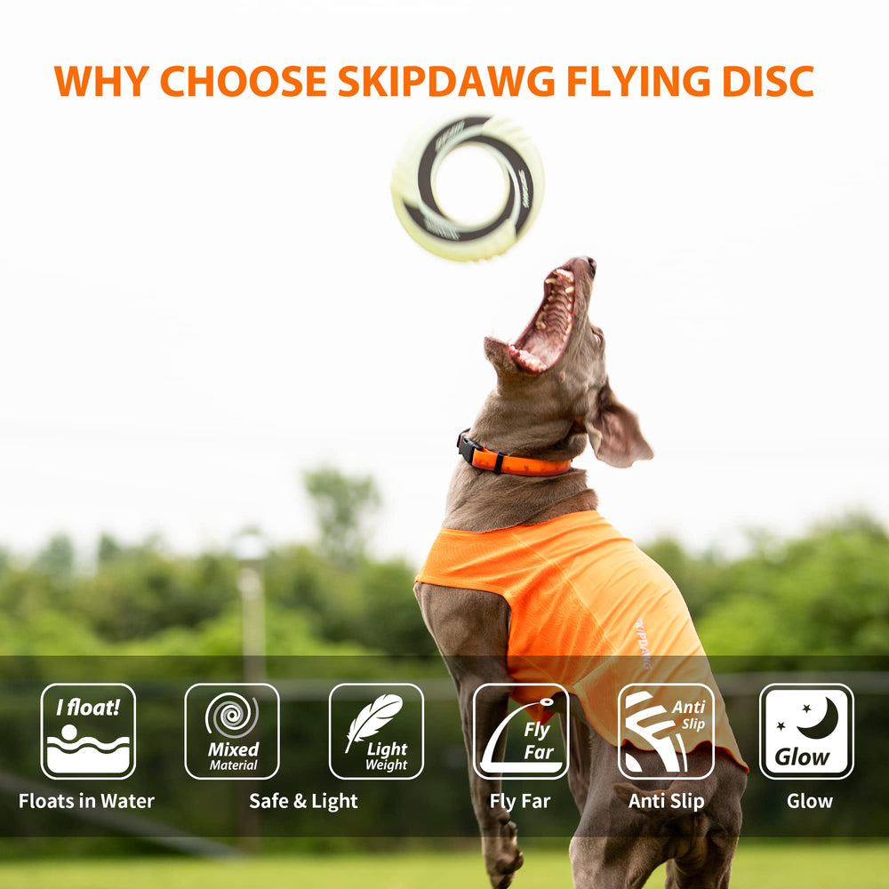 SKIPDAWG chien sautant pour attraper le disque, favorise activité