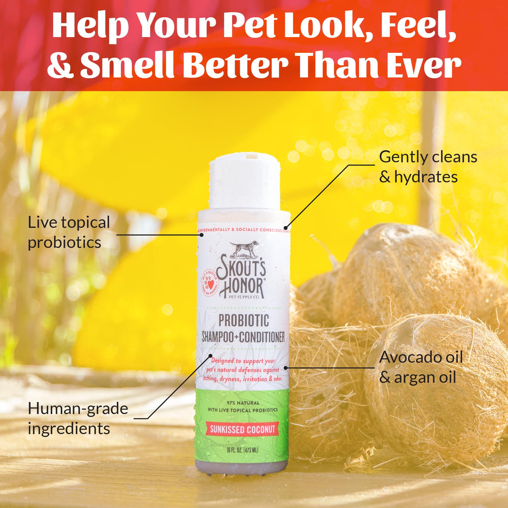 SKOUT'S HONOR chien pendant le bain mettant en valeur pelage propre et sain
