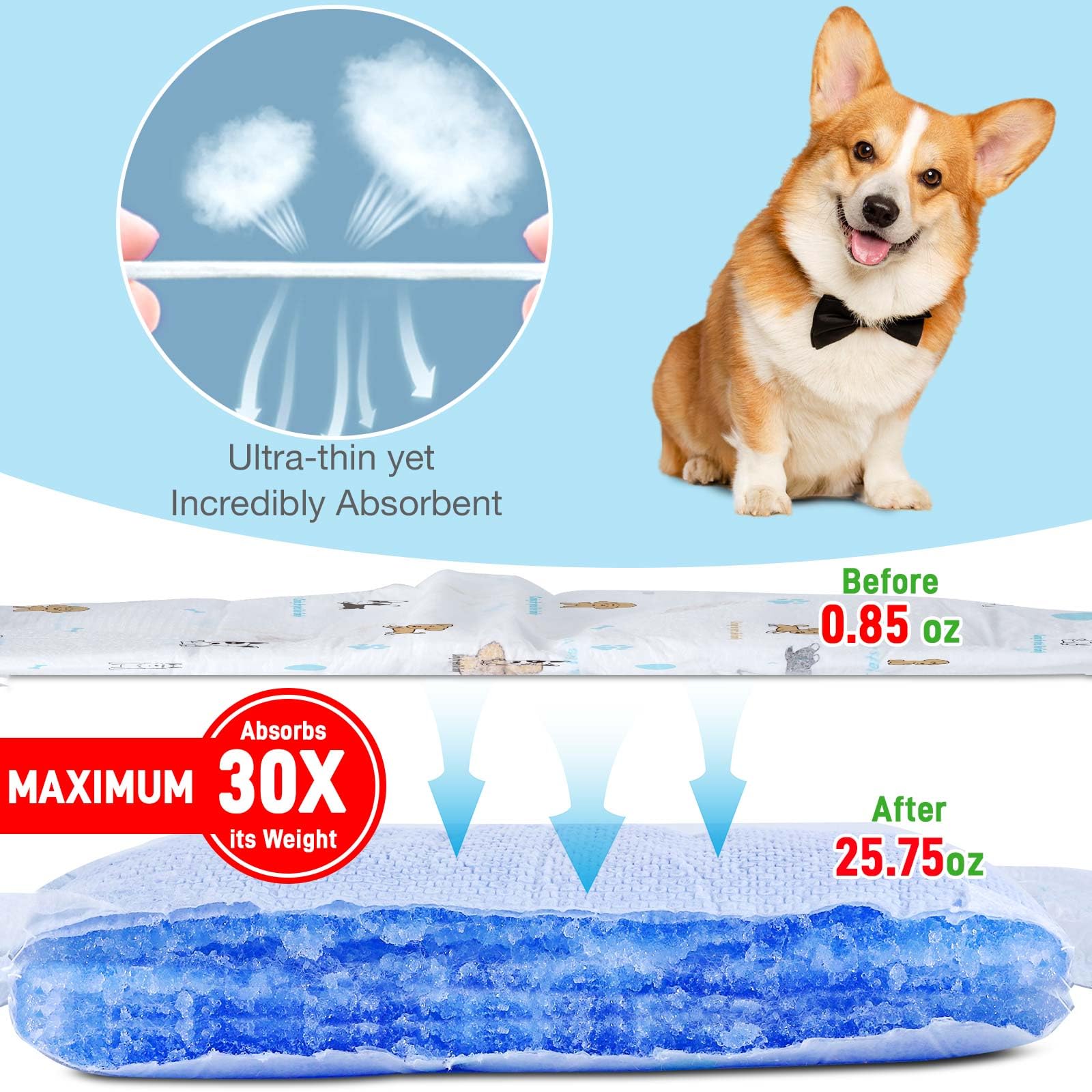 SkyLion gros plan du noyau absorbant pour absorption rapide