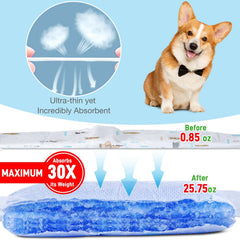 SkyLion gros plan du noyau absorbant pour absorption rapide