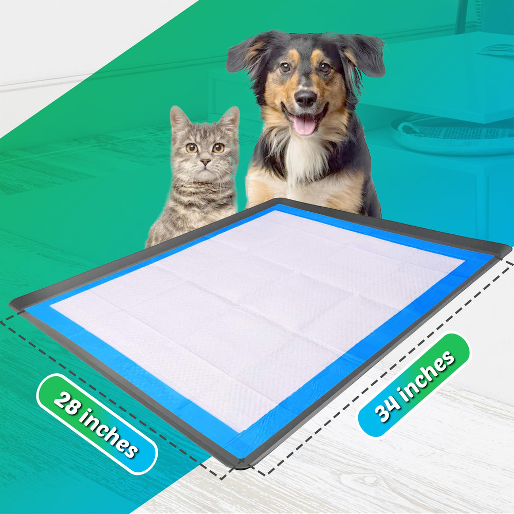 Skywin détail base antidérapante offrant stabilité pour chiots vifs