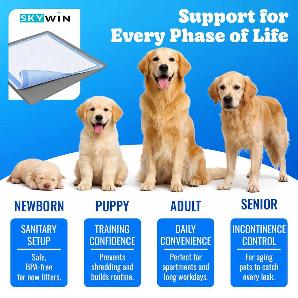 Skywin comparaison taille avec main pour échelle, confirme compatibilité 24x24 pouces