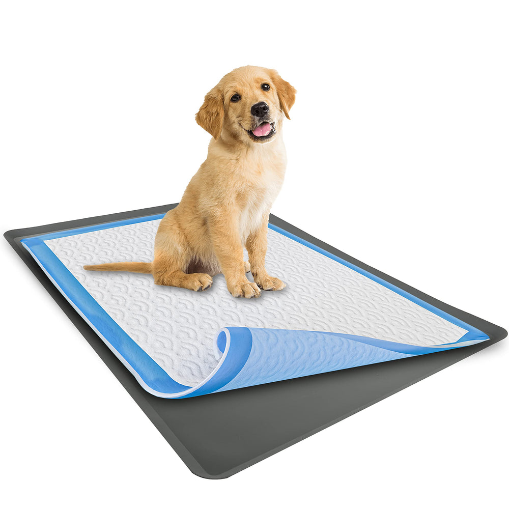 Skywin plateau vue avant montrant maintien propre et protection