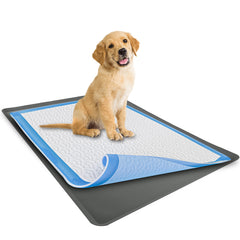 Skywin plateau vue avant montrant maintien propre et protection
