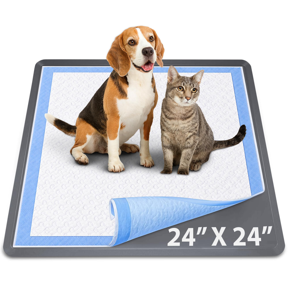 Skywin porte-protection face avant gris foncé montrant forme et contours, protection pratique
