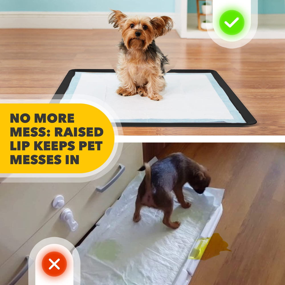 Skywin porte-tapis avec tapis en place, installation simple et fixe