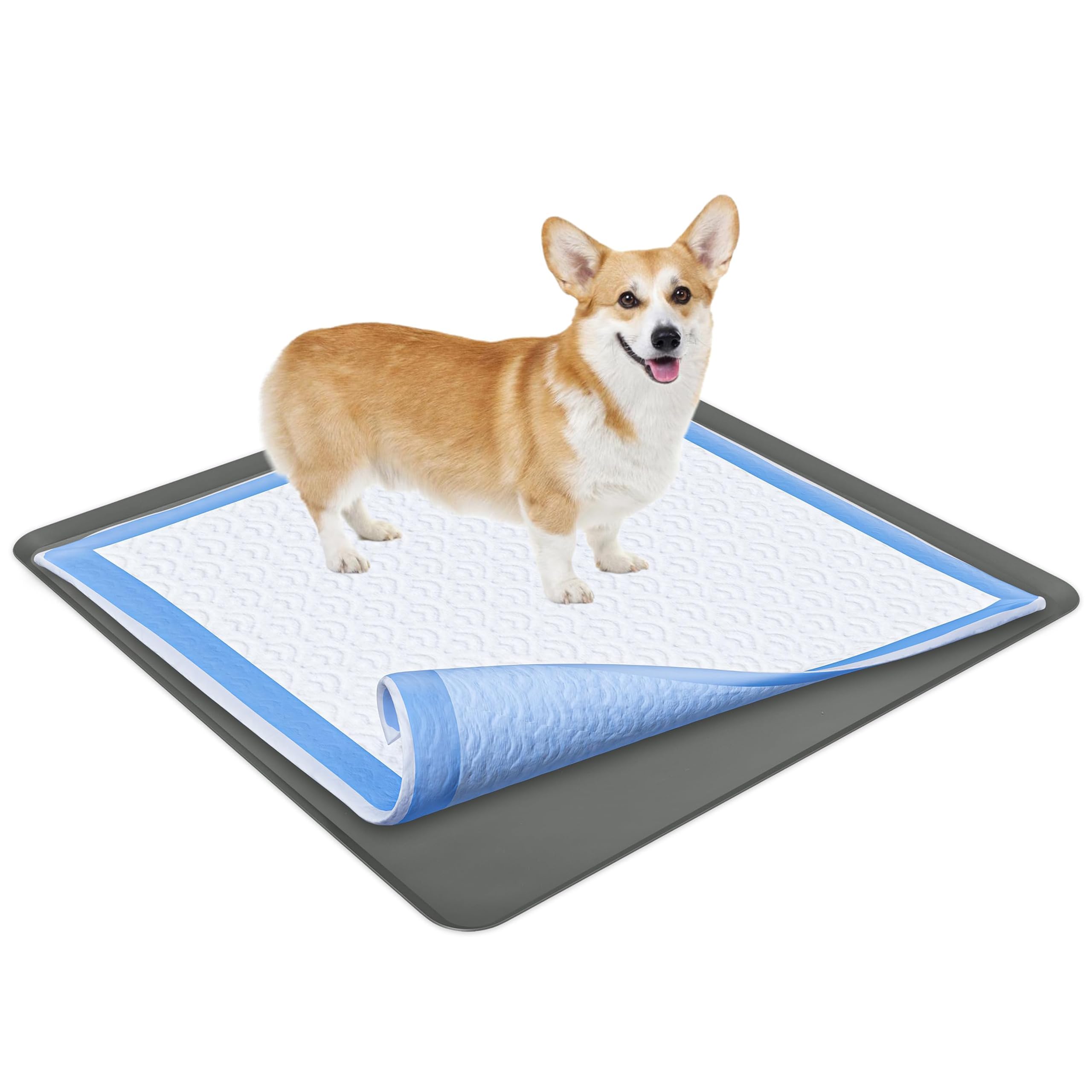 Skywin vue frontale du porte-tapis protégeant le sol et facilitant le nettoyage