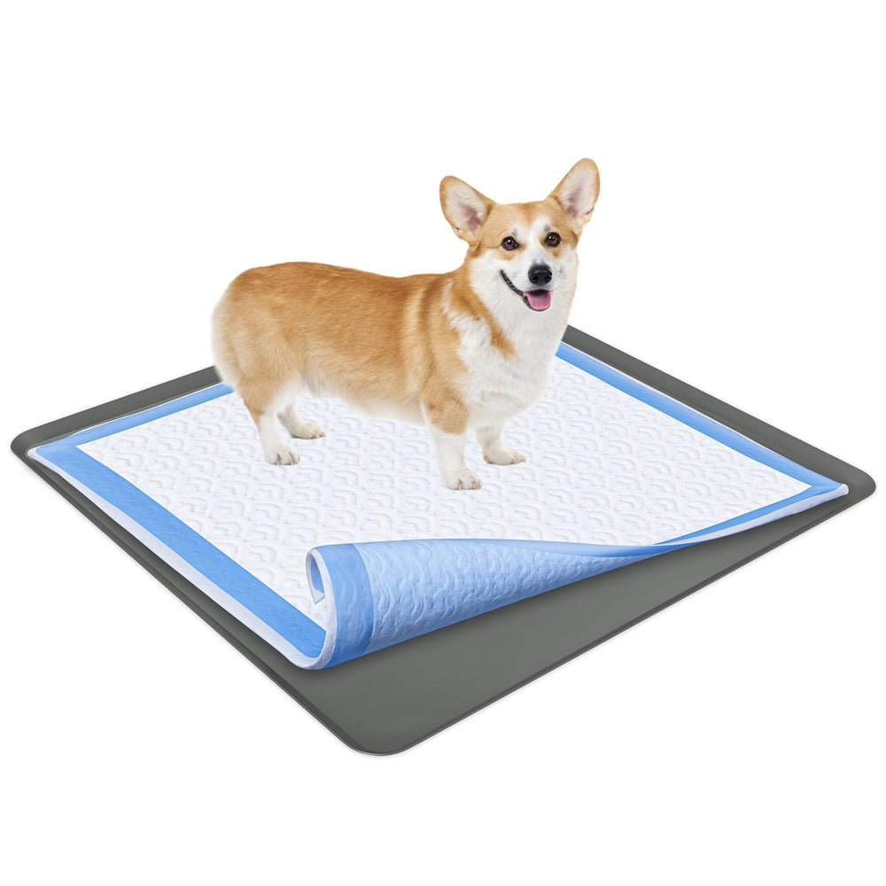 Skywin vue frontale du porte-tapis protégeant le sol et facilitant le nettoyage