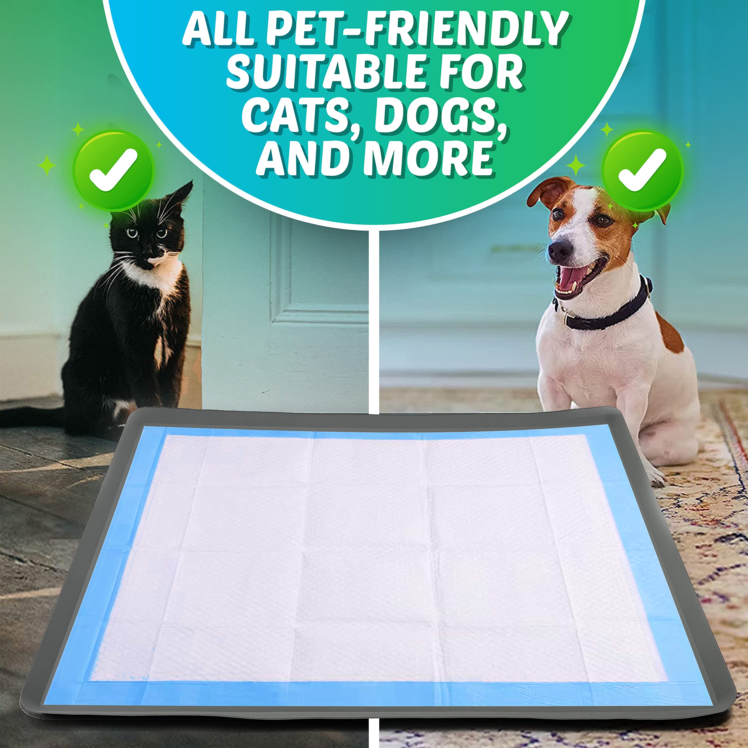 Skywin tapis installé dans plateau avec chien, usage quotidien facilité
