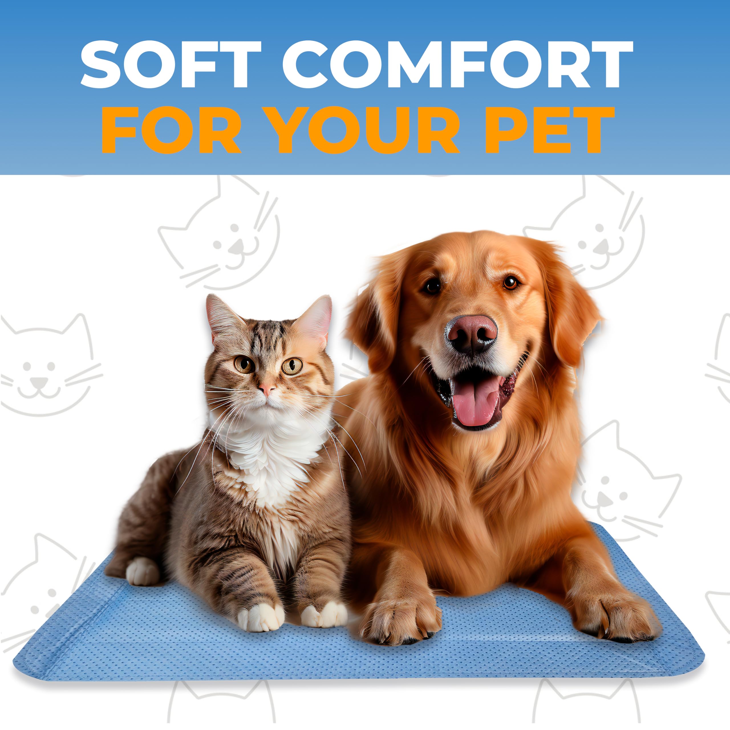 Skywin tapis dans scène de voyage avec chat, facilite transports calmes