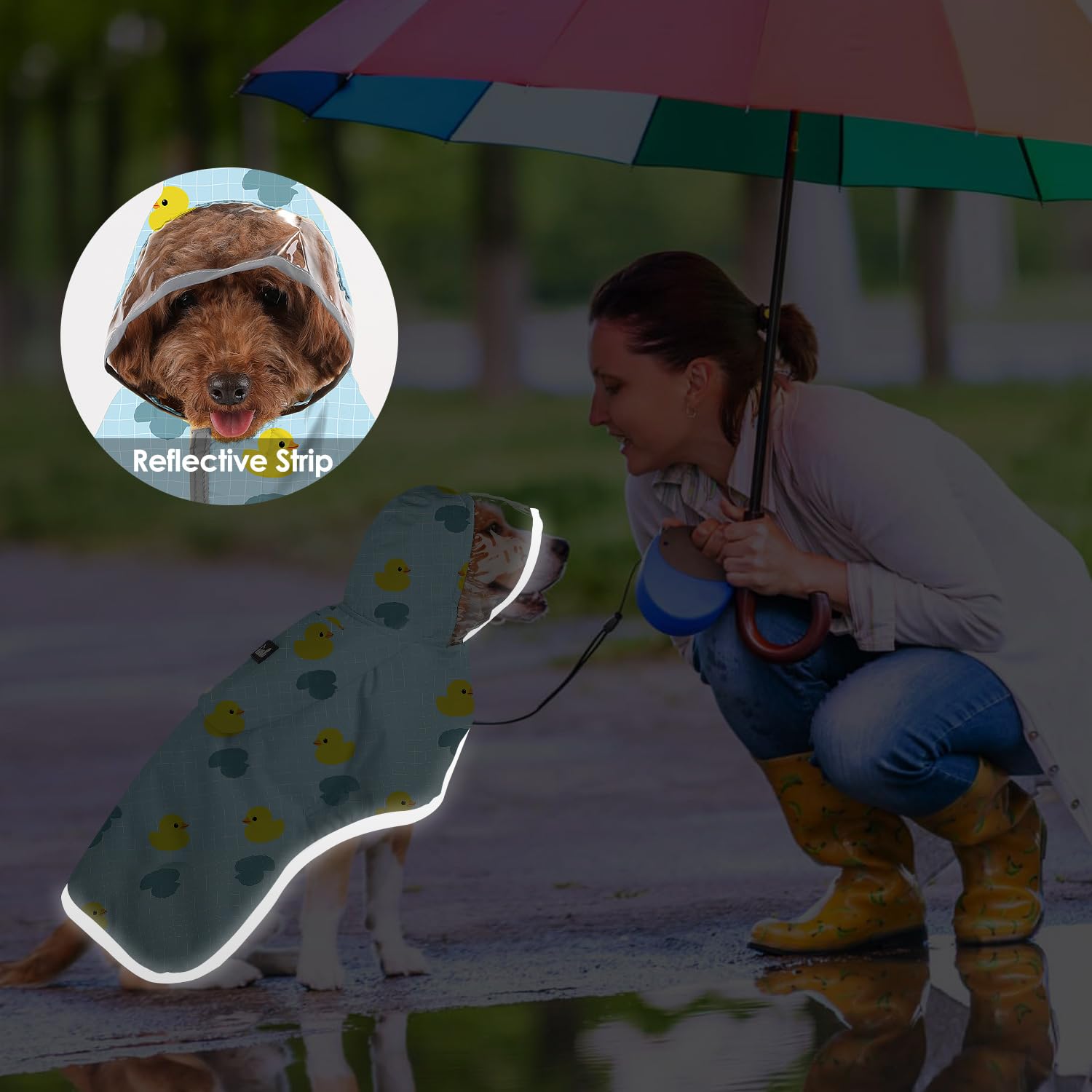 SlowTon chien portant le manteau en promenade sous la pluie, confort maintenu