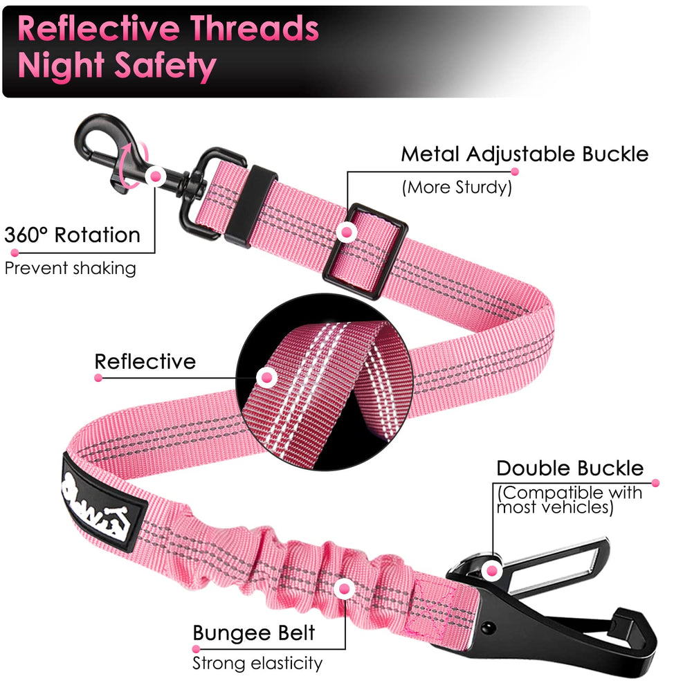 SlowTon chien attaché en voiture avec harnais démontrant protection pratique