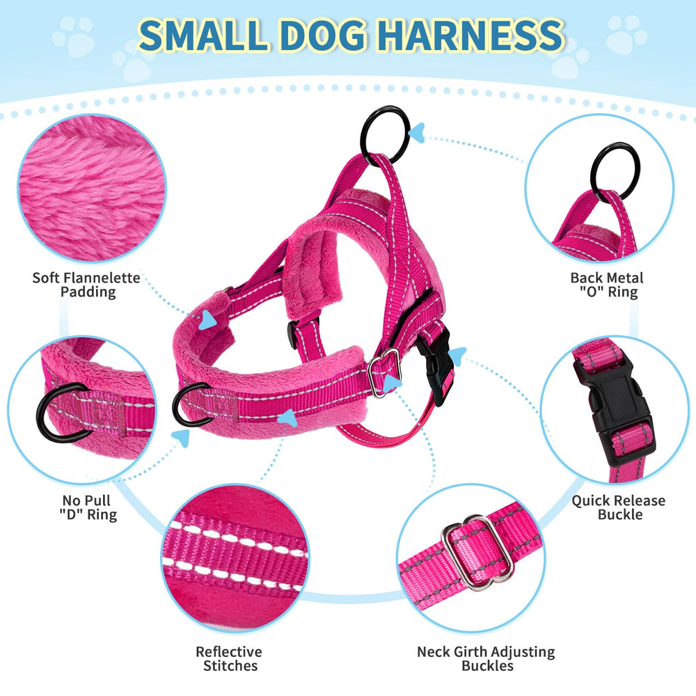 Petit chien portant harnais SlowTon en promenade, indiqué pour chiots et petits chiens