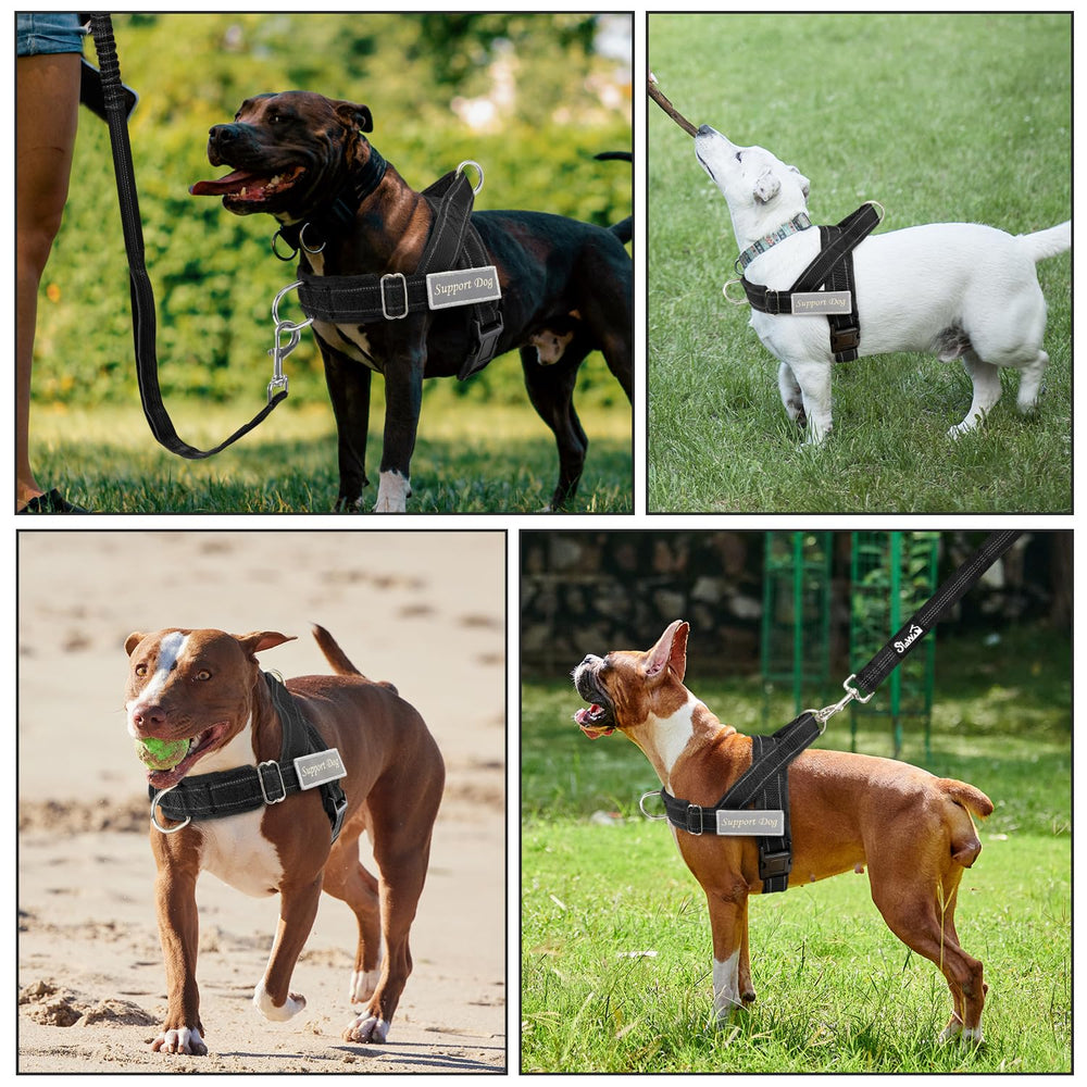SlowTon harnais sur chien en promenade sécurité et visibilité