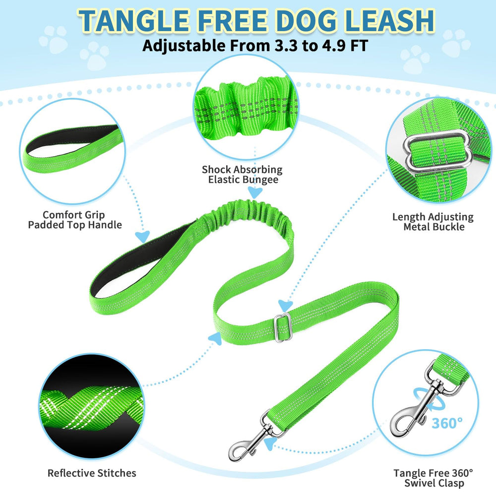 SlowTon harnais porté pendant une promenade urbaine pour sécurité et confort