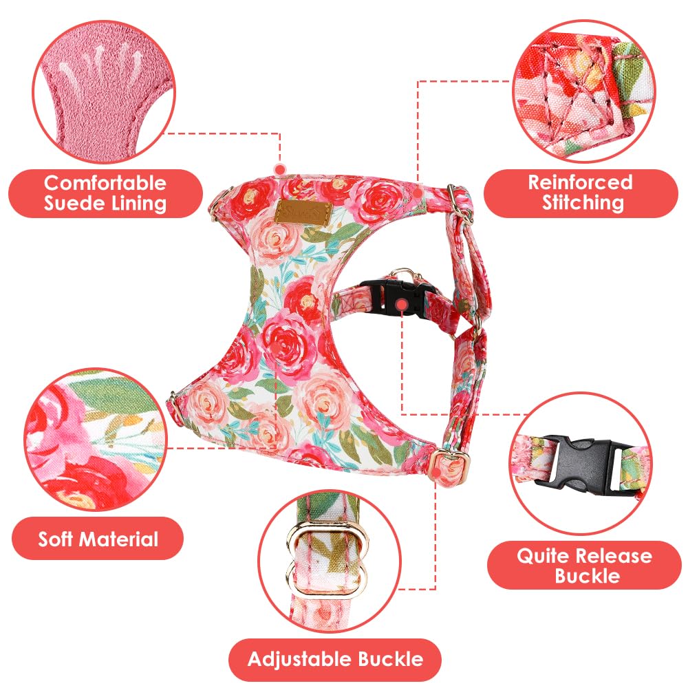 SlowTon harnais porté par chiot pour comparaison de taille pratique