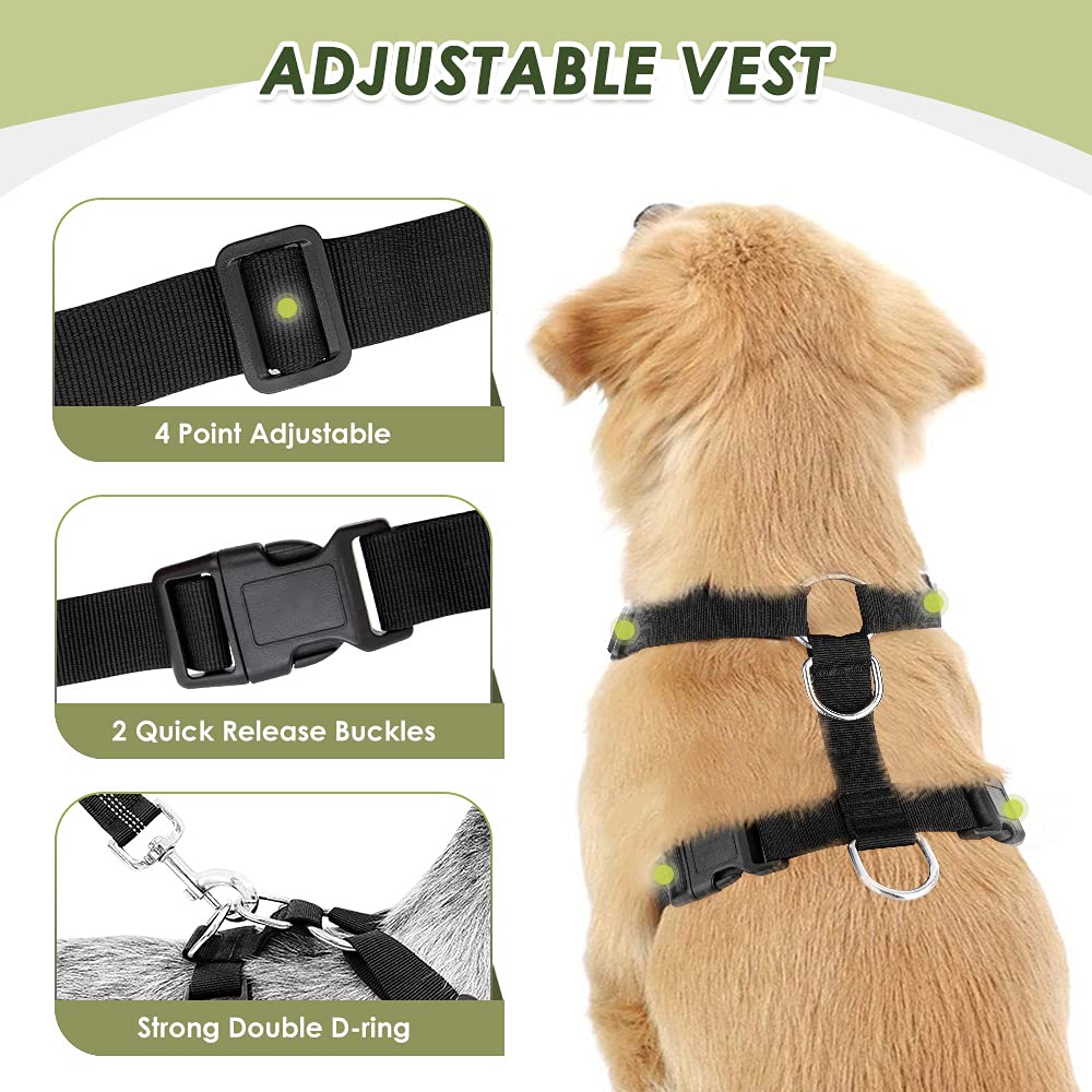 SlowTon sangle bungee élastique absorbant les chocs