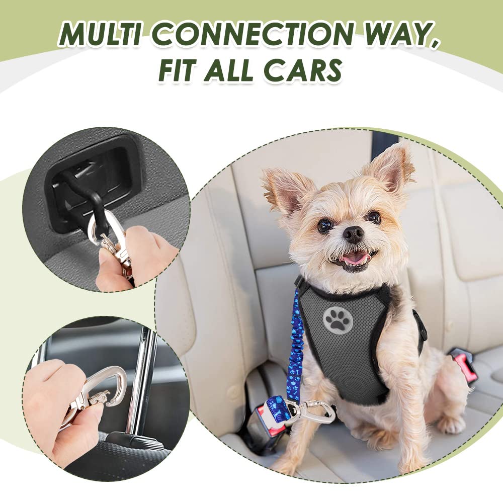SlowTon ceinture en usage avec chien attaché en voiture, réduit les distractions du conducteur