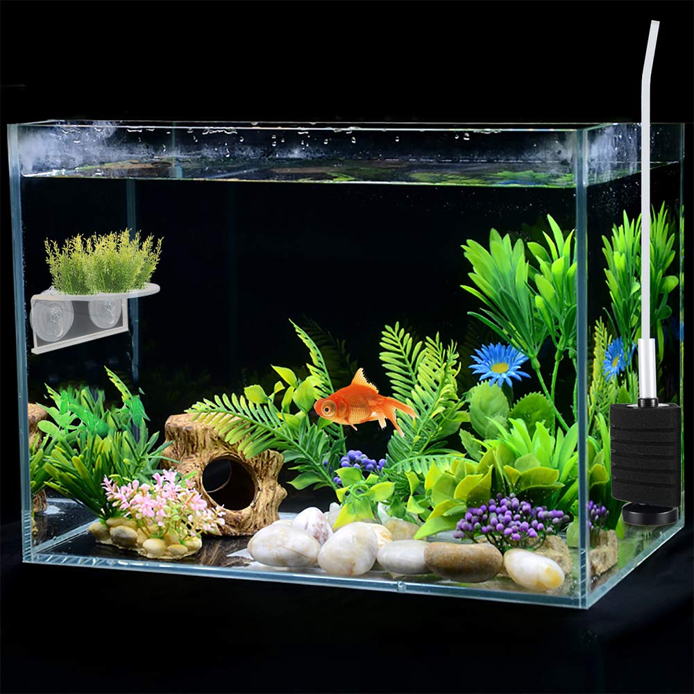 SLSON plateau avec plantes et substrat pour décor aquatique