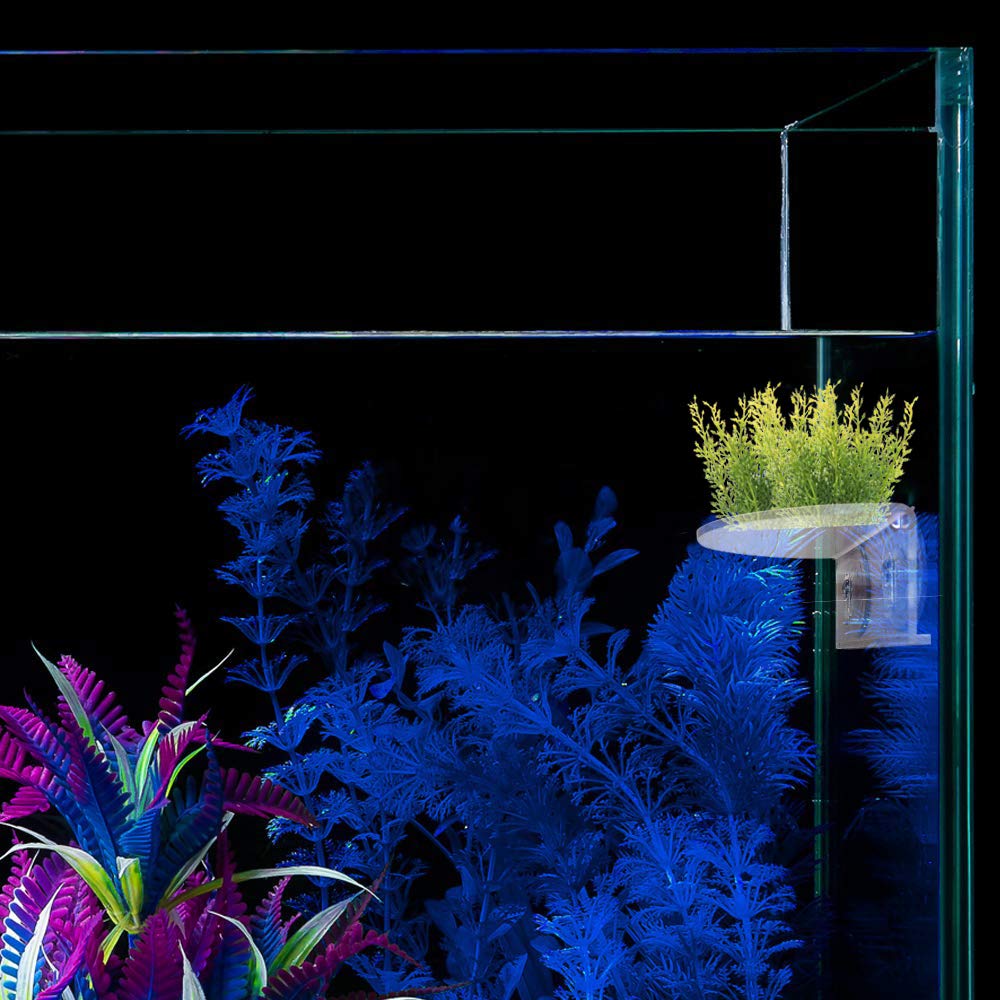 SLSON plateau utilisé sur rebord de fenêtre pour mini-jardin