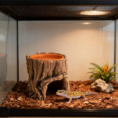 SLWHYZL cachette installée dans un terrarium avec gecko léopard pour humidité ciblée