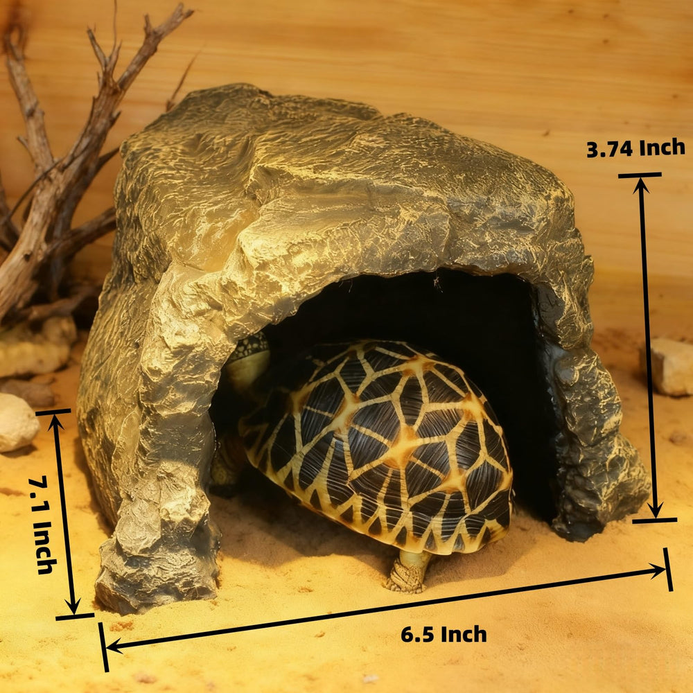 SLWHYZL ouverture large visible facilitant entrée et sortie des reptiles