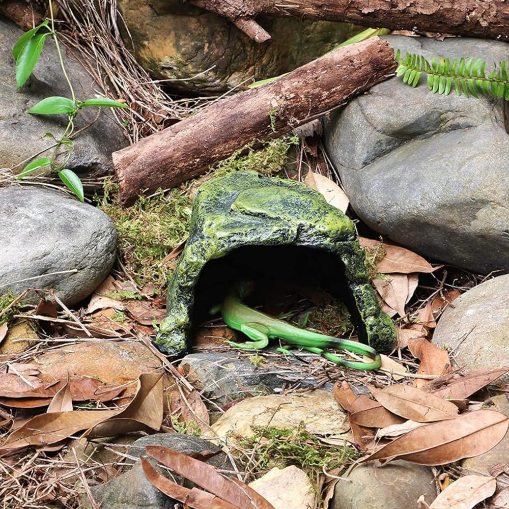 SLWHYZL utilisation dans terrarium extérieur pour enrichissement visuel