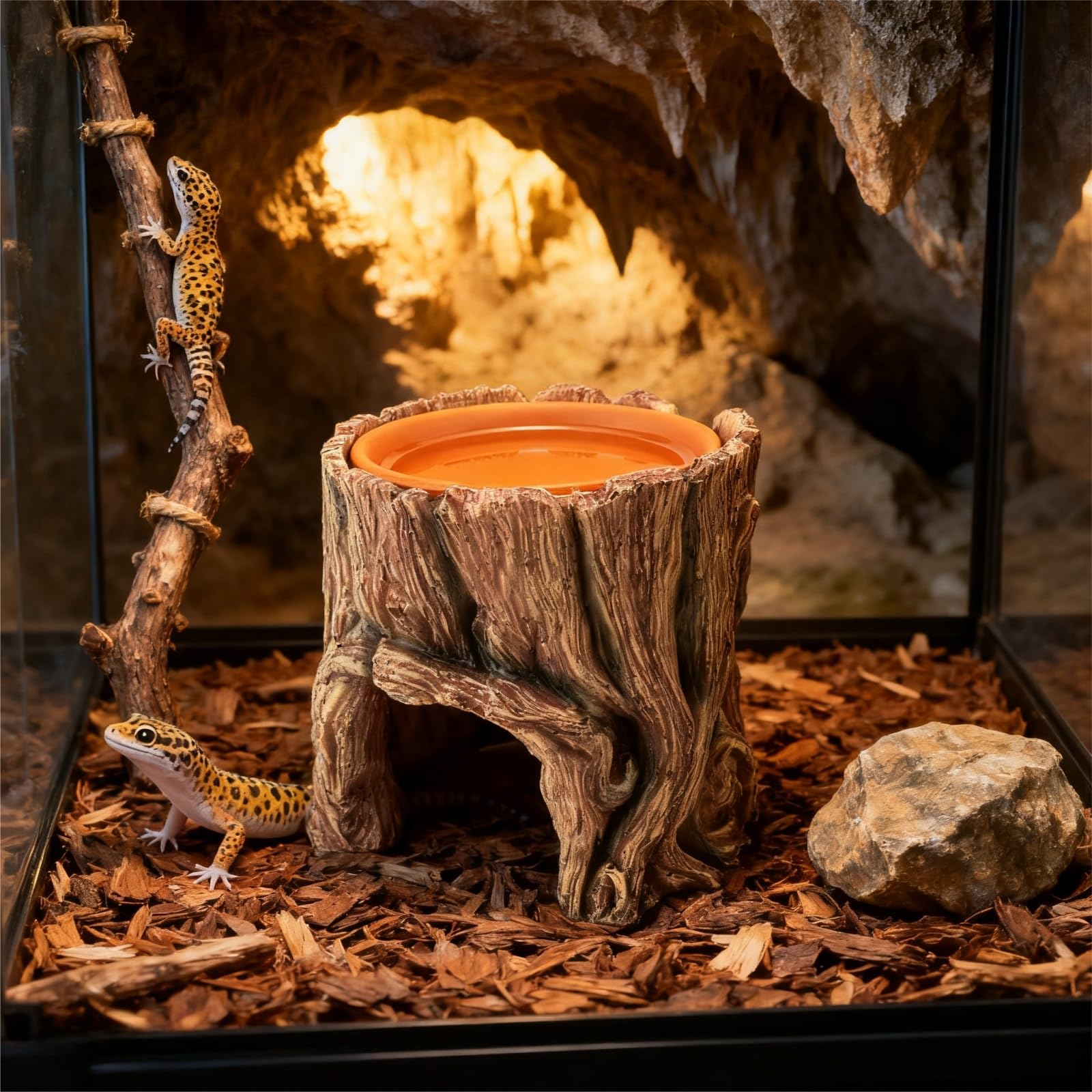 SLWHYZL décoration intégrée dans décor naturel pour encourager exploration active