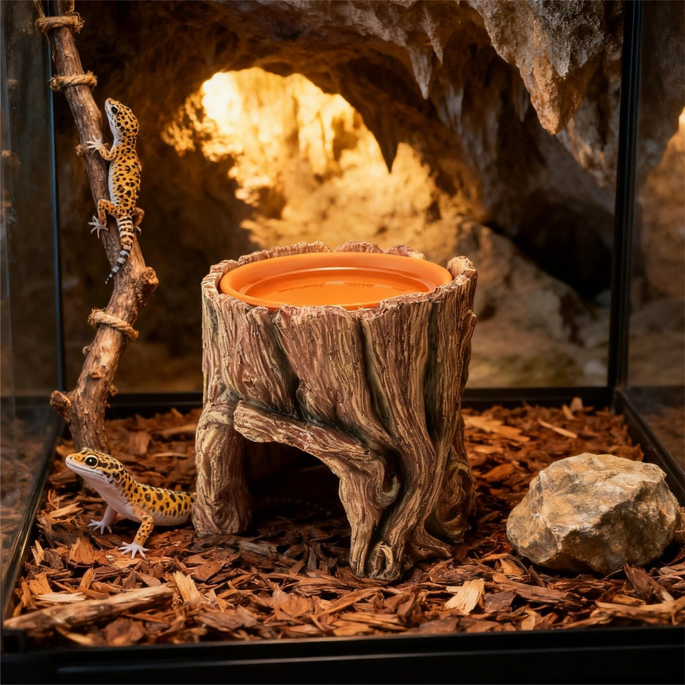 SLWHYZL décoration intégrée dans décor naturel pour encourager exploration active