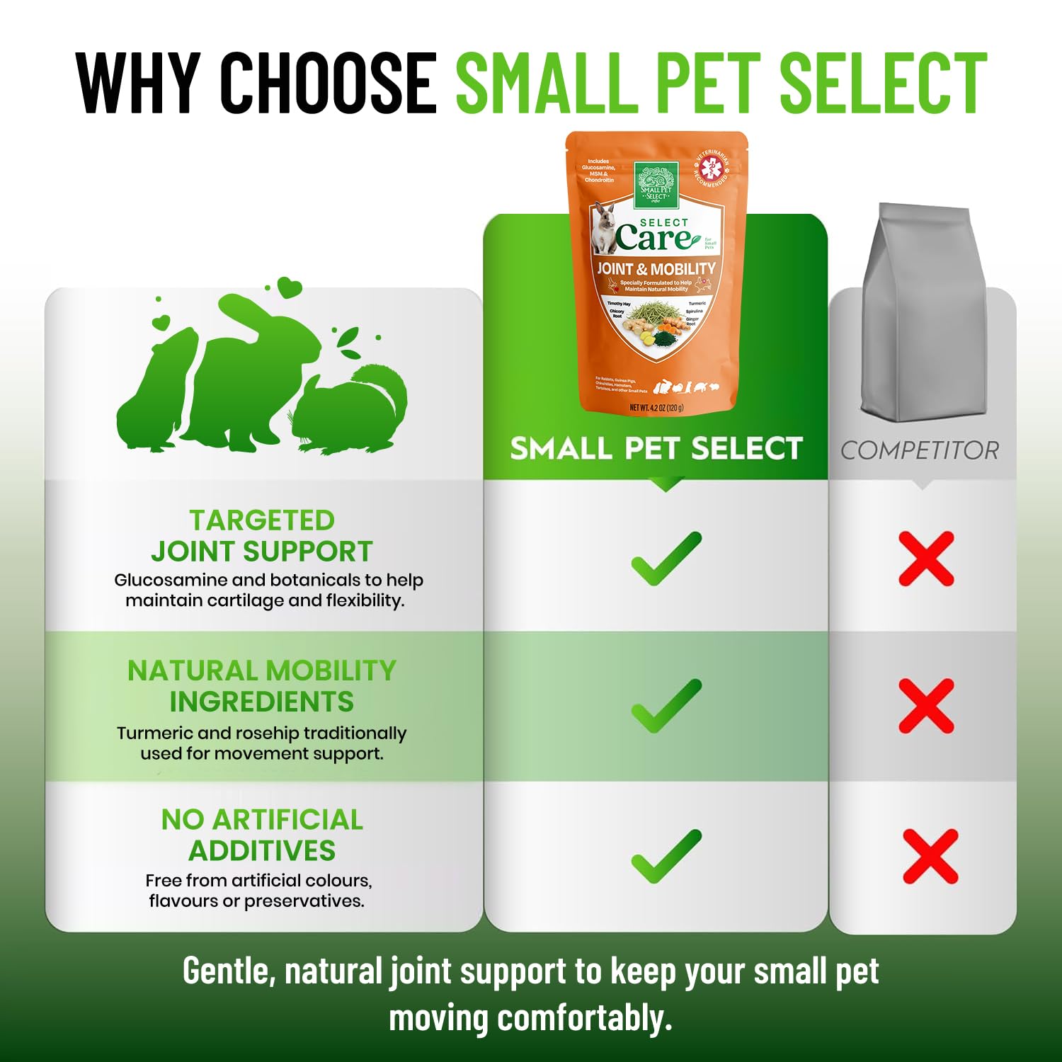 Small Pet Select scène de vie avec cochon d'Inde appréciant biscuit santé