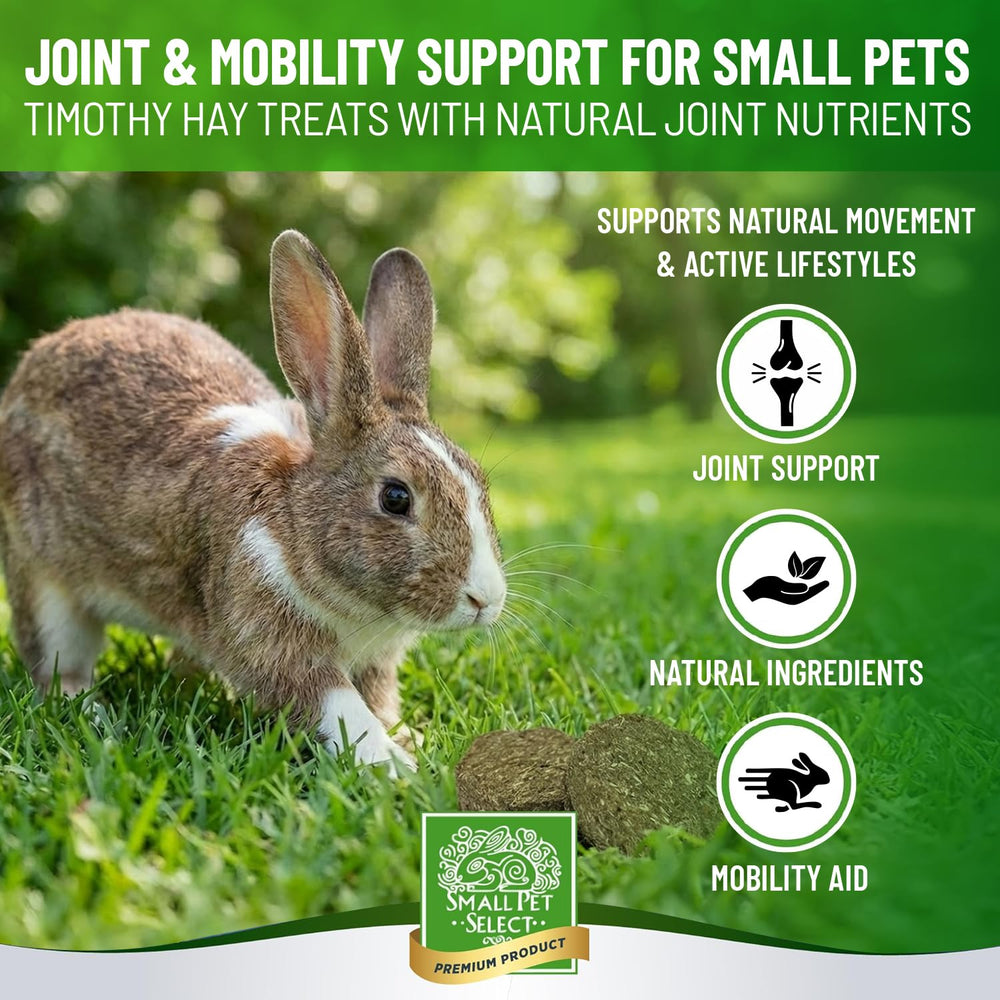 Small Pet Select biscuit posé parmi ingrédients naturels comme curcuma et foin