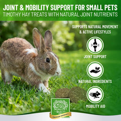 Small Pet Select biscuit posé parmi ingrédients naturels comme curcuma et foin